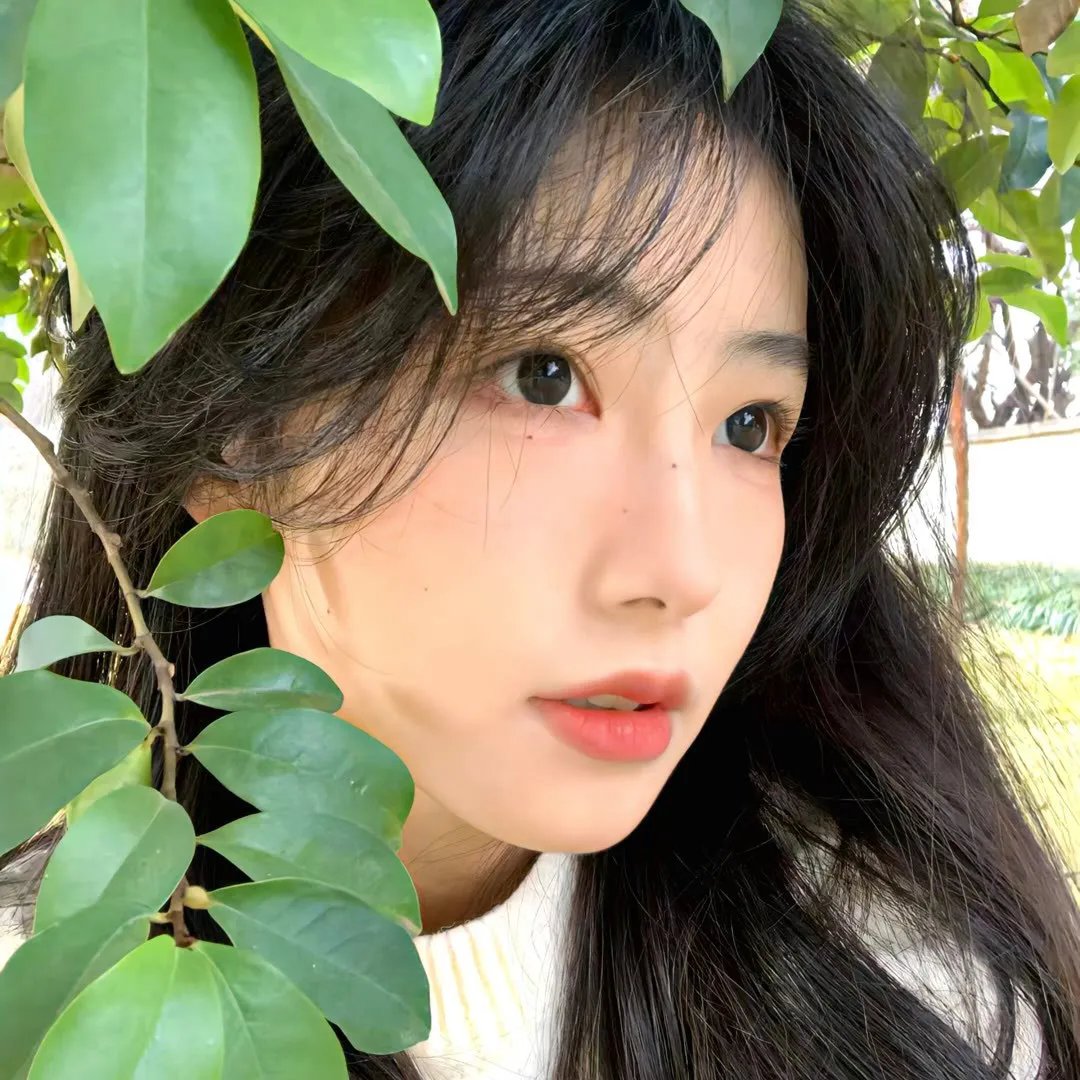 五月碧云天